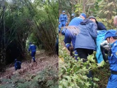 密林走失7天6夜86岁脑退化老妇奇迹生还(图)