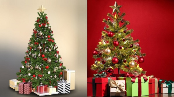 对人们而言，圣诞树上的星星代表的，正是基督的荣光。