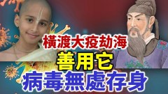 醫神真容曝光揭化解當前及未來幾年人類困境的唯一方案(視頻)