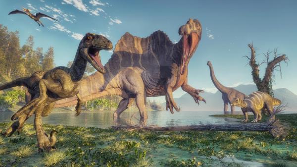 史前地球为何能允许巨大动物生存？