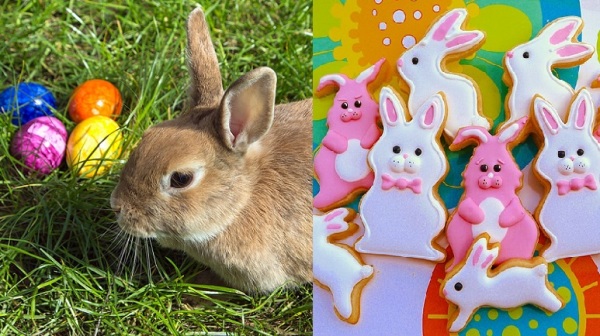 兔子是复活节重要的象征物。右为兔子造型饼干。