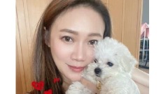 网红“玻璃朱”涉酒后驾驶 撞伤菲籍男子(图)