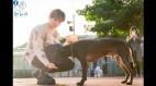 炎亞綸寒冬送暖親做年菜關懷流浪動物(圖)