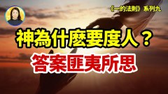 想不到這才是神不放棄救人的原因……(視頻)