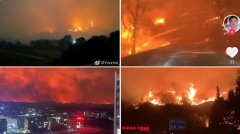 湖南新田山火烧到二十大后未扑灭官方反应引争议(视频图)