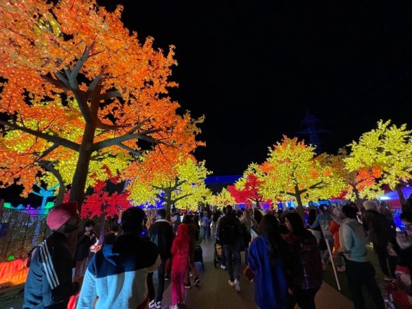 加拿大密西沙加舉辦世界最大燈展illumi。