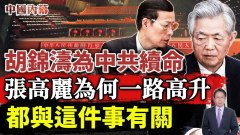 胡錦濤想為中共續命張高麗為何一路高升都與這件事有關(視頻)