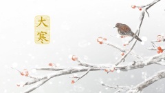 120“大寒”报到为何这天不要“太早出门”(组图)