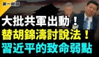 胡锦涛事件还在发酵有人要讨个说法武汉有大事(视频)