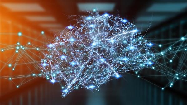 大腦神經網路遠超三維
