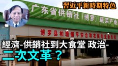 【谢田时间】供销社大食堂死灰复燃上下一线国家垄断(视频)