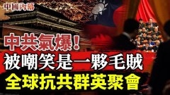 中共氣爆吾爾開希稱中共就是一夥毛賊(視頻)