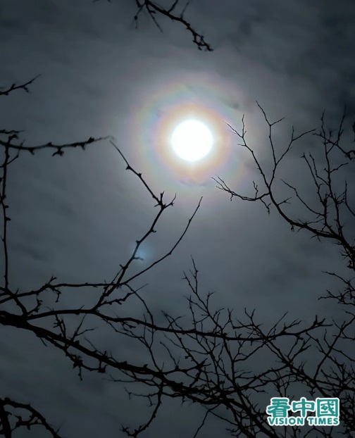 十一月六日多倫多出現的月暈（辛迪攝影）