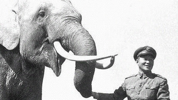 大象翻山越嶺，轉戰南北，為緬甸戰役立下了汗馬功勞。