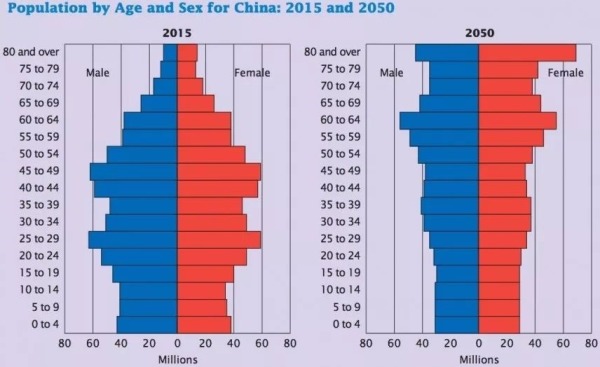 2013年美國人口普查局對中國的結構所進行的分析