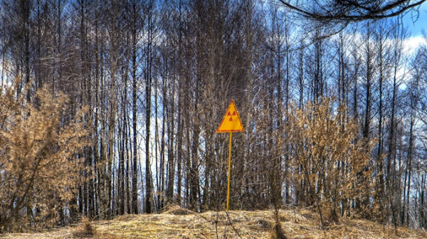 切尔诺贝利（Chernobyl）“红森林”东端一座小山上的放射性警告标志。