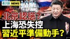 习近平准备动手上海爆大型抗议中共新令曝习野心(视频)