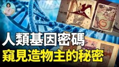 中國史上第一對夫妻預示神再臨人間(視頻)