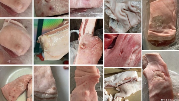 上海 疫情 猪肉