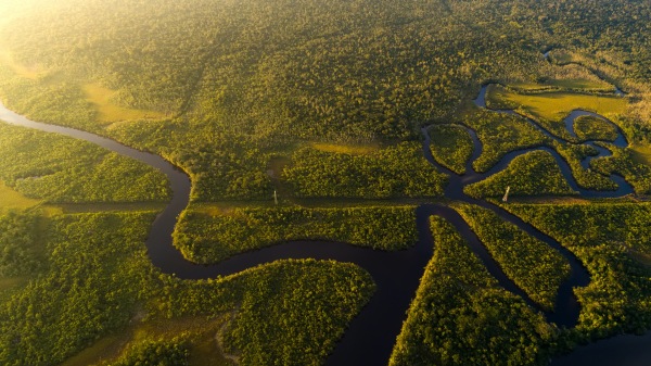 亚马逊河 巴西 南美
