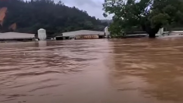 江西 贛州 洪水