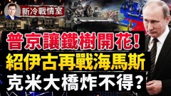 炸克里米亞大橋留著有大用;紹伊古新招誘海馬斯(視頻)