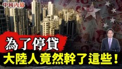 大陸真實爆料:為了停貸他們竟然幹了這些(視頻)