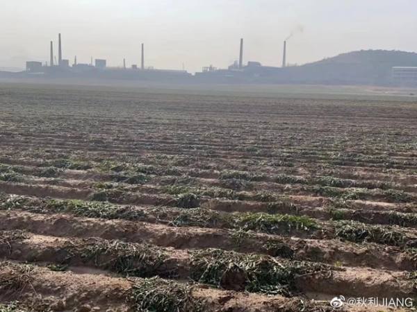 團山子村村民實名舉報當地化工企業環境污染威脅千人村莊，近千畝土地寸草不生。