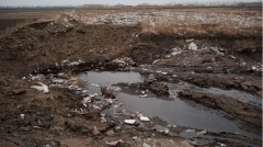 辽宁葫芦岛村民实名举报：环境污染致“癌症村”(组图)
