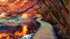 预测未来梦境中准确看见未来景象(图)