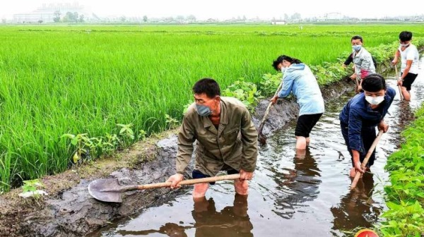朝鮮鹹鏡北道清津市農民們正在開展農業抗洪工作。