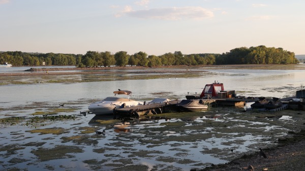 2022年8月12日，德國奧斯特里希溫克爾（Oestrich Winkel）附近萊茵河水位低於40厘米，船舶運輸越來越困難。