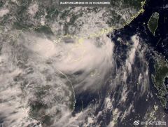 台风“马鞍”登陆广东茂名全市停工停课(图)