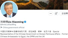 逾百国家挺中共刘晓明推文惹众怒民讨细则(组图)