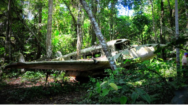 飛機 殘骸 森林 叢林 129798009
