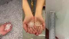 北京突狂风暴雨落冰雹民间热议“晒鸽子蛋”(视频图)
