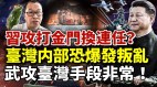 台湾恐爆叛乱习近平武攻台湾手段非常(视频)