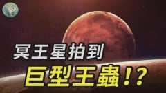 冥王星拍到巨大生物滑行(視頻)