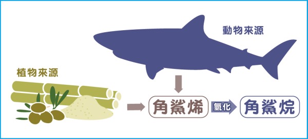 现在的角鲨烯多为植物性成分，萃取自甘蔗、橄榄、米糠等原料。