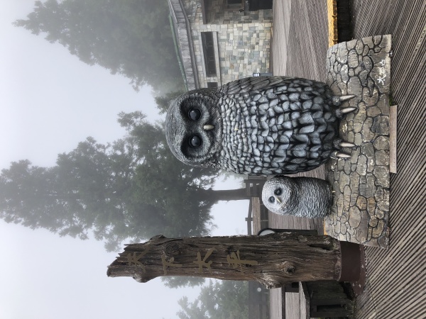 太平山 太平山庄 雕刻 石雕 猫头鹰 灰林鸮