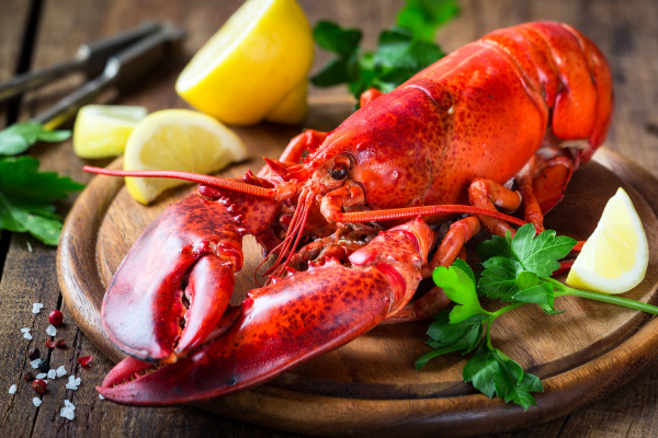 大龙虾（lobster）是海水龙虾