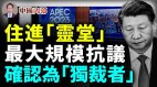 中共党魁四大丑闻中共喉舌把这事广为告之(视频)