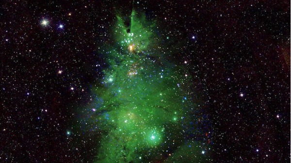 NASA分享銀河系恆星圖像「聖誕樹星團」影像