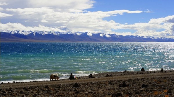  納木錯湖是西藏最大的內陸湖，也是世界上最高的鹹水湖。