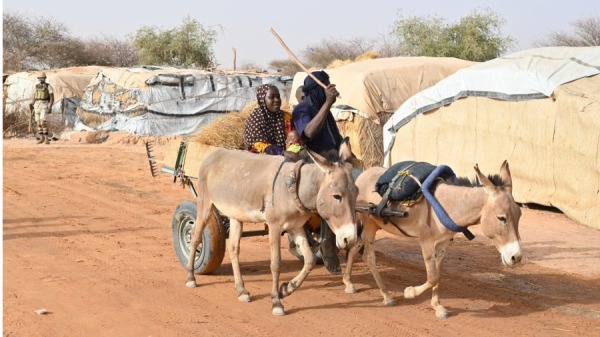 2022年5月3日，人們在非洲中西部的尼日爾共和國之流離失所者 (IDP) 營地騎驢車。