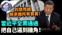 【谢田时间】通过国务院改革习近平权力达到顶峰(视频)