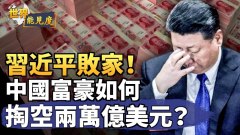 習近平敗家揭秘中共外匯賬戶兩萬億美元消失之謎(視頻)