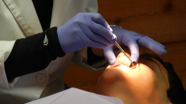 卢宠茂强调，政府会向公务员及其合资格家属提供牙科医疗服务，这是公务员的福利，不等同于公众的福利。（Pixabay）