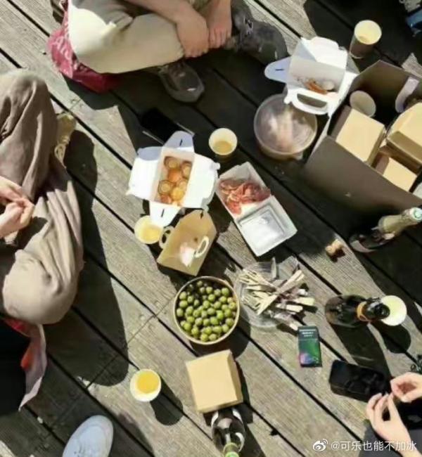 王菲李嫣的法國野餐同框照