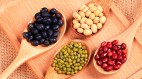 “夏吃三豆赶走医生”三豆怎么吃最好(图)